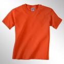 Gildan Heavy Cotton 
