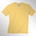 Gildan Heavy Cotton 